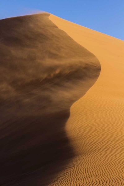 Namibia, Namib-Naukluft NP Blowing sand on dune